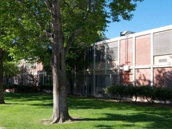 Oliver Wendell Holmes